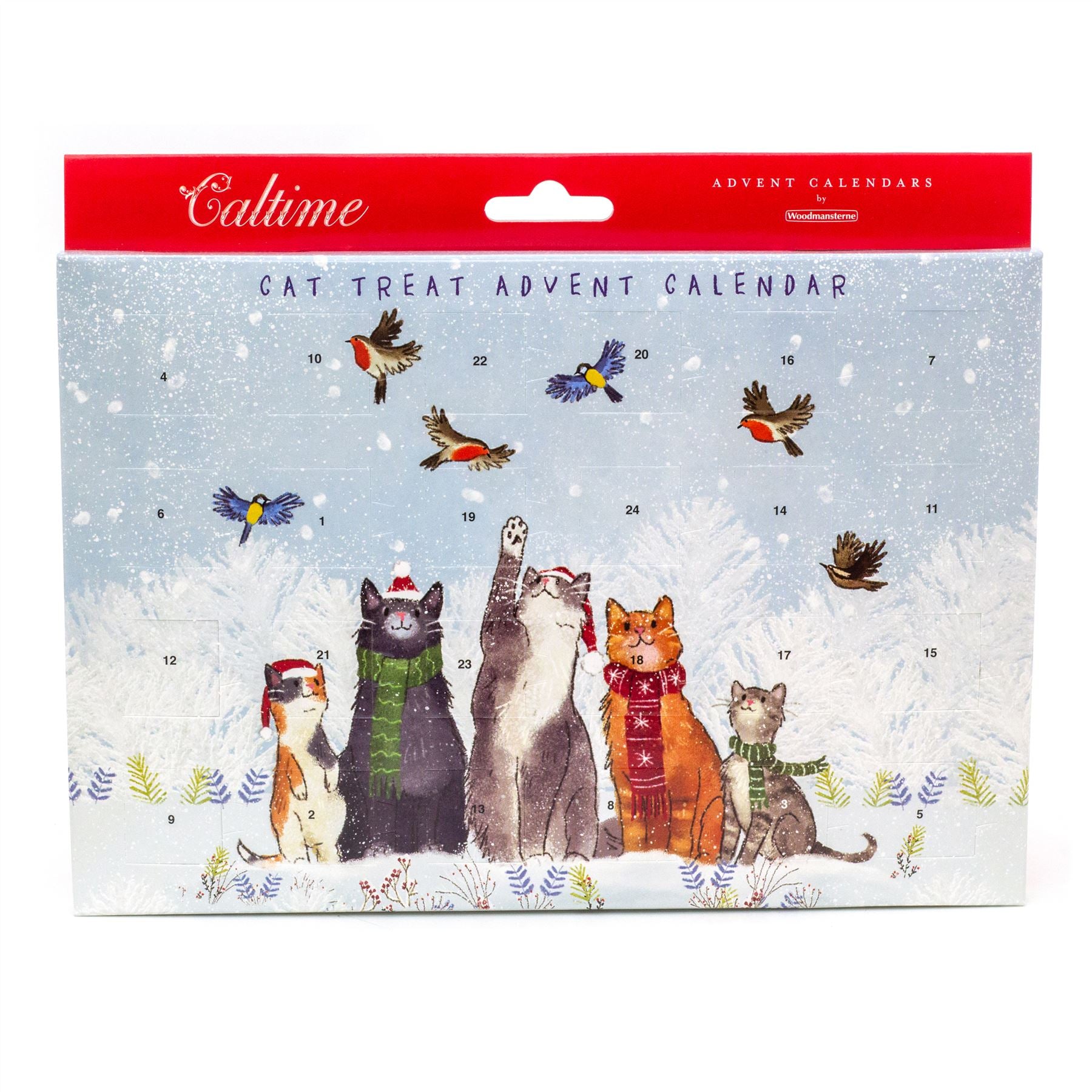 Pet Treat Advent Calendar For Cats